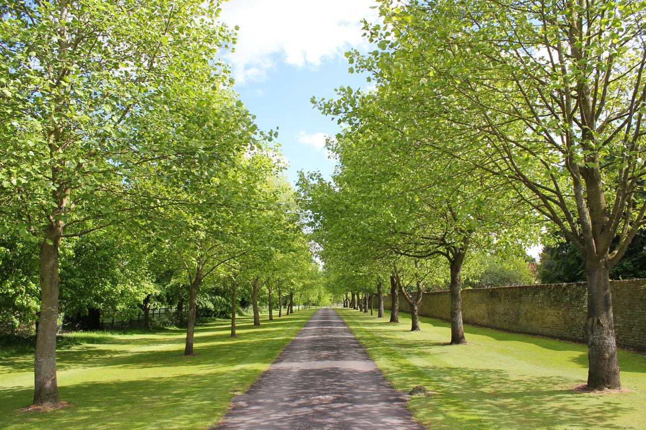 Chippenham Park Garden Rooms Kültér fotó