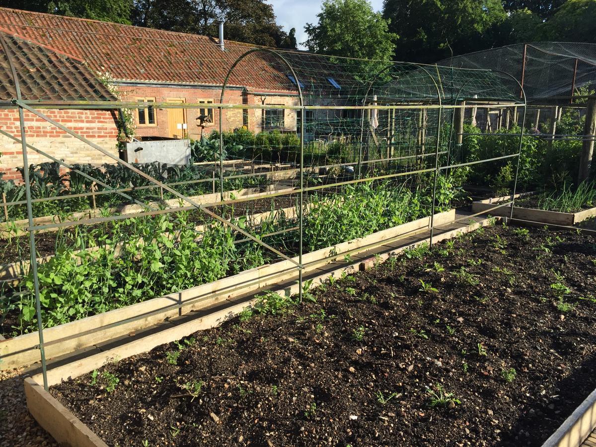 Chippenham Park Garden Rooms Kültér fotó